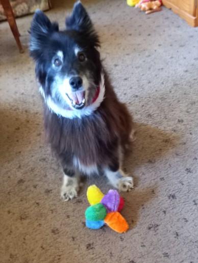 Tuuli of the Trish family