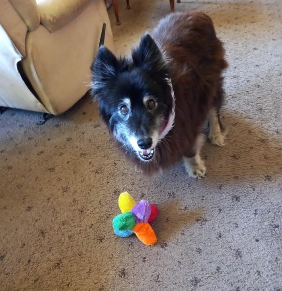 Tuuli of the Trish family