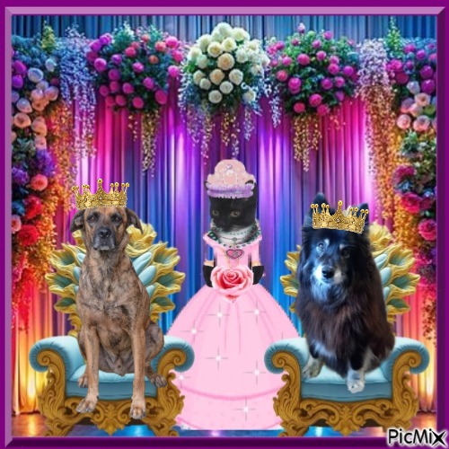 Trish uploaded   45  day/s  ago