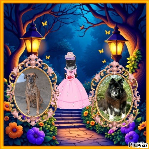 Trish uploaded   45  day/s  ago