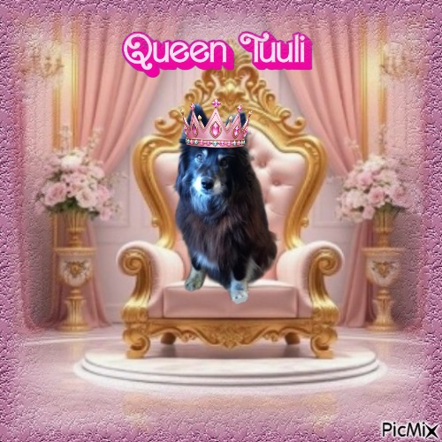 Trish uploaded   45  day/s  ago