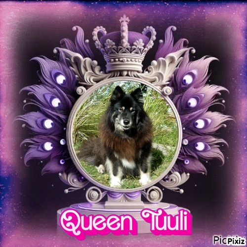 Trish uploaded   45  day/s  ago