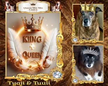 Trish uploaded   45  day/s  ago