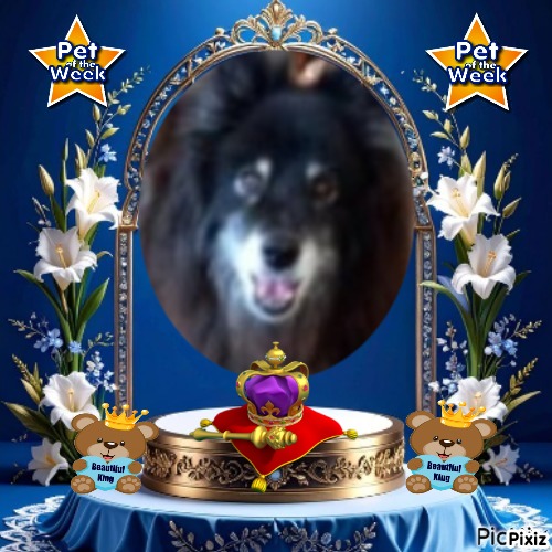 Trish uploaded   20  day/s  ago