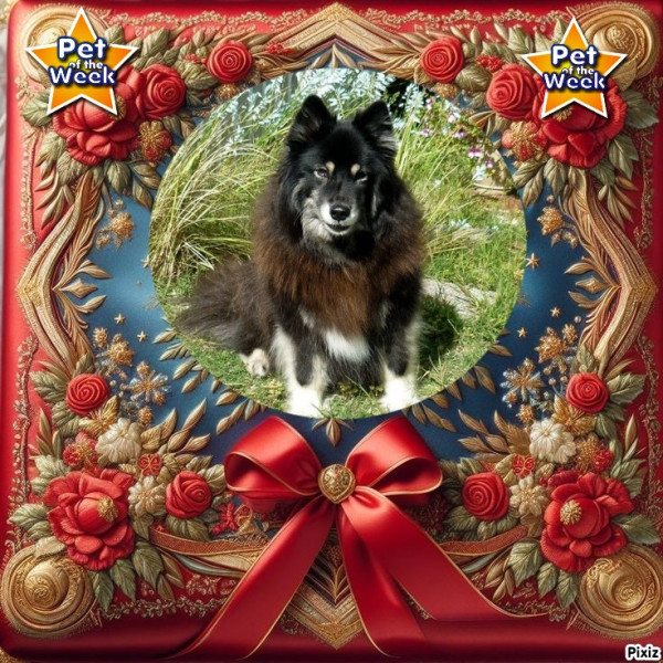 Trish uploaded   20  day/s  ago