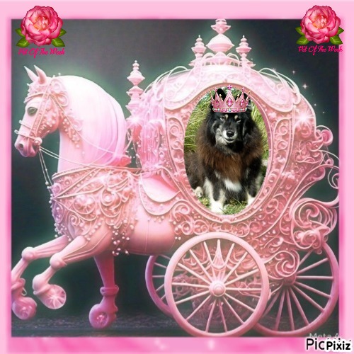 Trish uploaded   20  day/s  ago