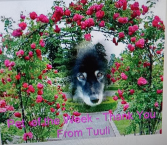 Trish uploaded   20  day/s  ago