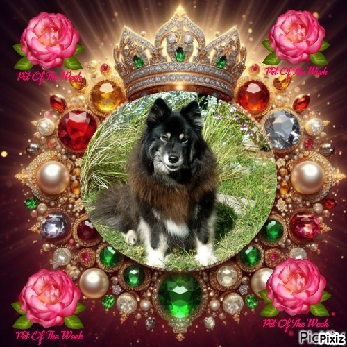 Trish uploaded   20  day/s  ago