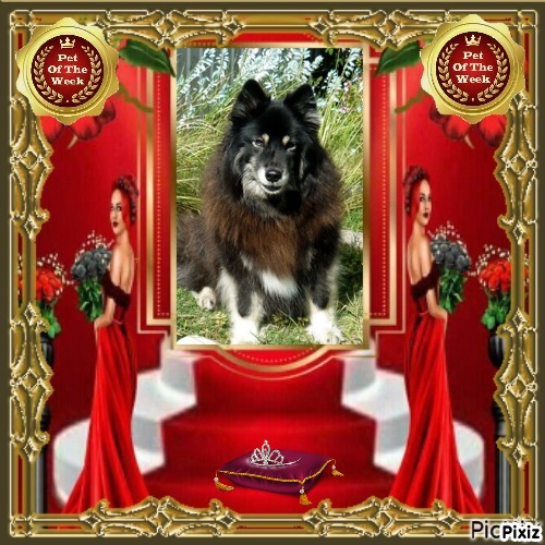 Trish uploaded   20  day/s  ago