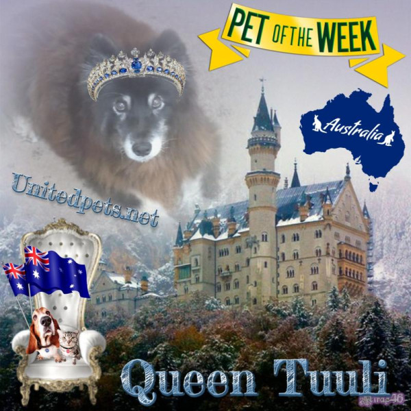 Trish uploaded   20  day/s  ago