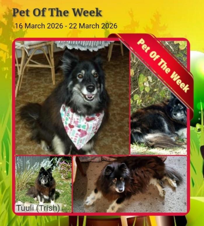 Trish uploaded   20  day/s  ago