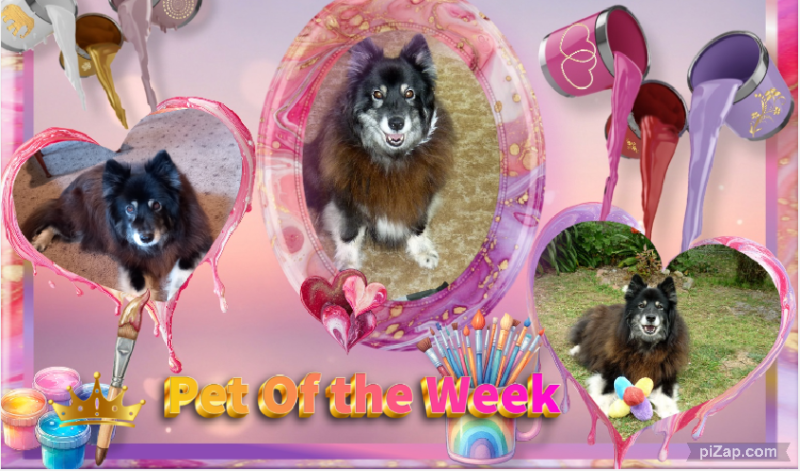 Trish uploaded   20  day/s  ago