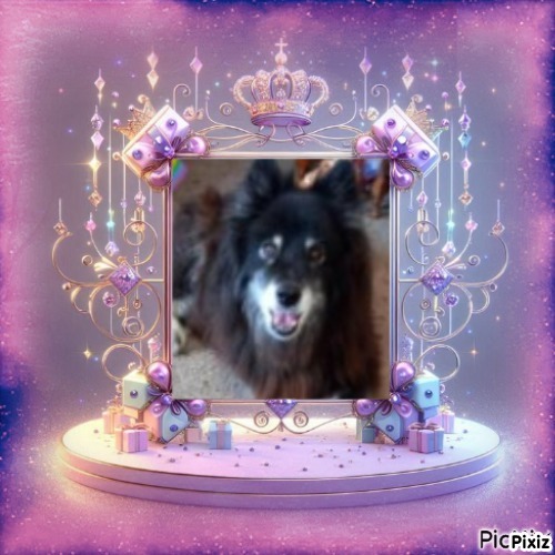 Trish uploaded   20  day/s  ago