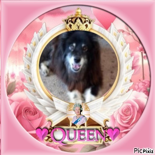 Trish uploaded   20  day/s  ago