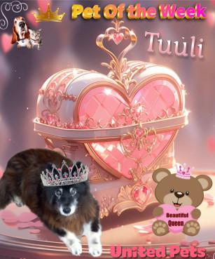 Trish uploaded   20  day/s  ago