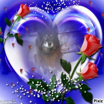 Tuuli of the Trish family