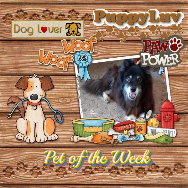 Trish uploaded   20  day/s  ago