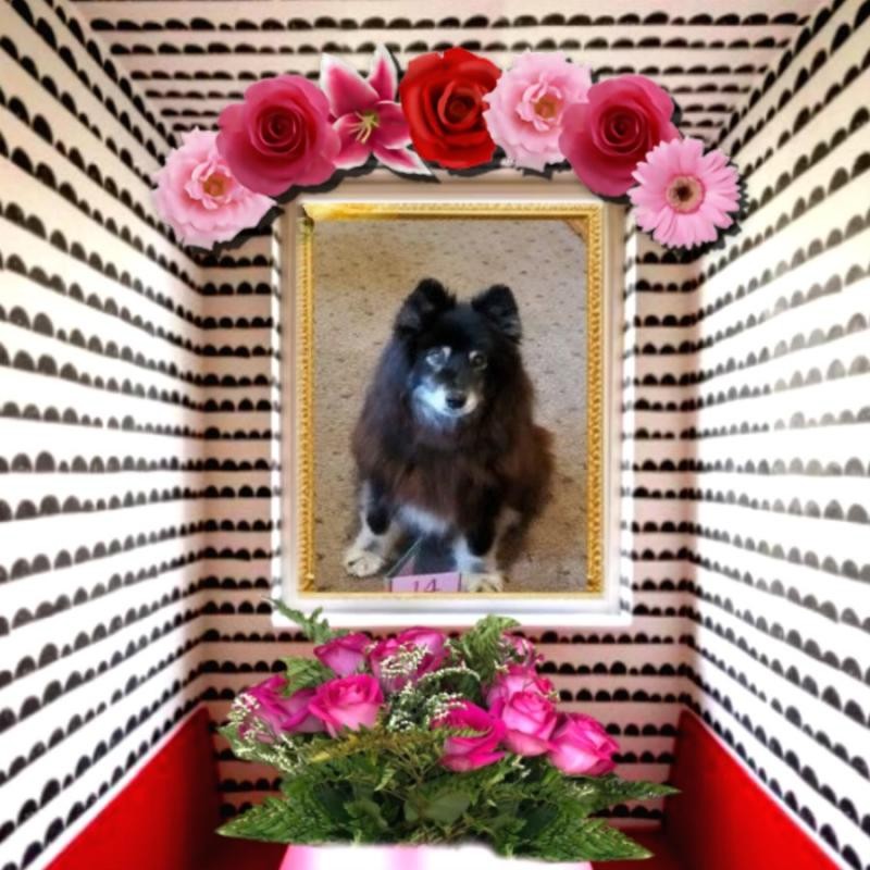 Tuuli of the Trish family