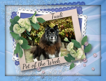 Trish uploaded   20  day/s  ago