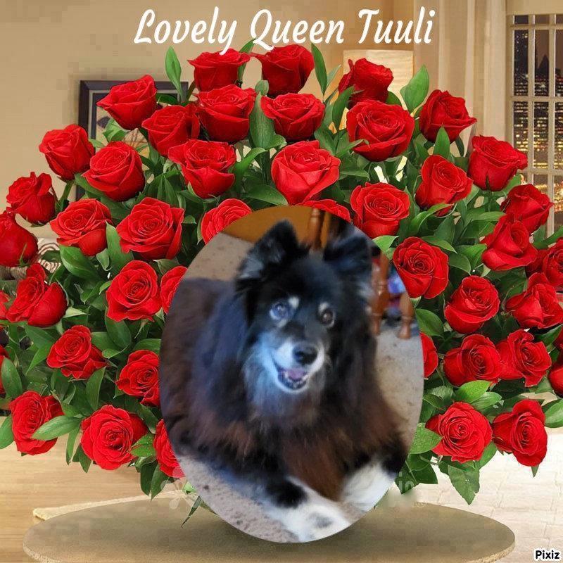 Tuuli of the Trish family