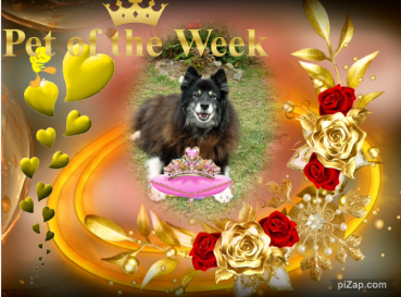 Trish uploaded   20  day/s  ago