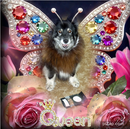 Trish uploaded   20  day/s  ago