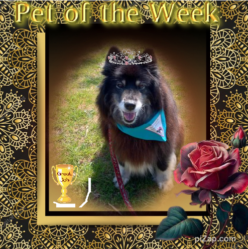 Trish uploaded   20  day/s  ago