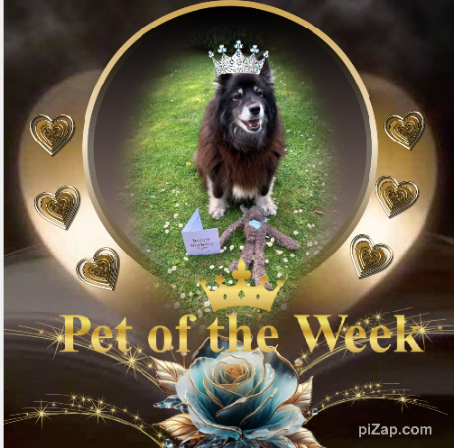 Trish uploaded   20  day/s  ago