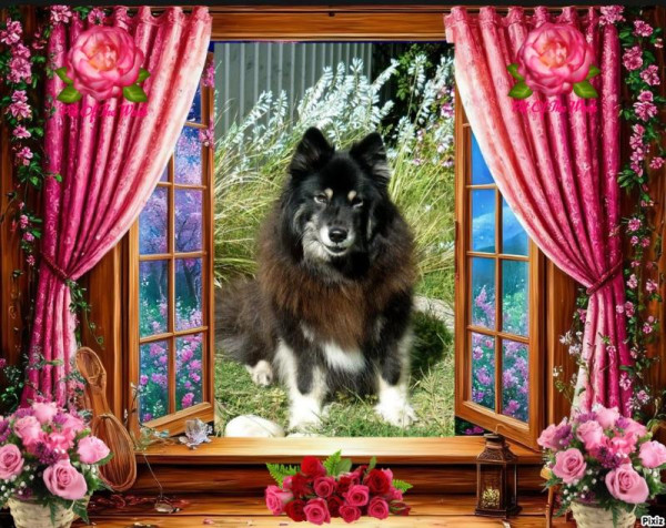 Tuuli of the Trish family