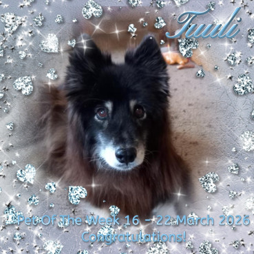 Trish uploaded   20  day/s  ago