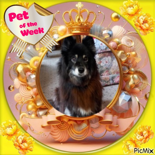 Trish uploaded   20  day/s  ago