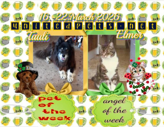 Tuuli of the Trish family