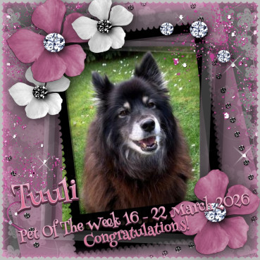 Trish uploaded   20  day/s  ago