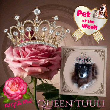 Trish uploaded   20  day/s  ago