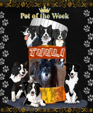 Tuuli of the Trish family