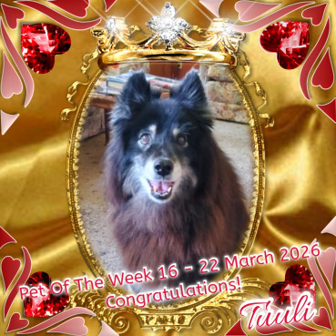 Trish uploaded   20  day/s  ago