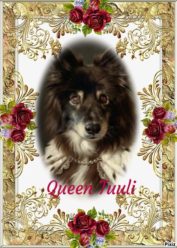 Tuuli of the Trish family