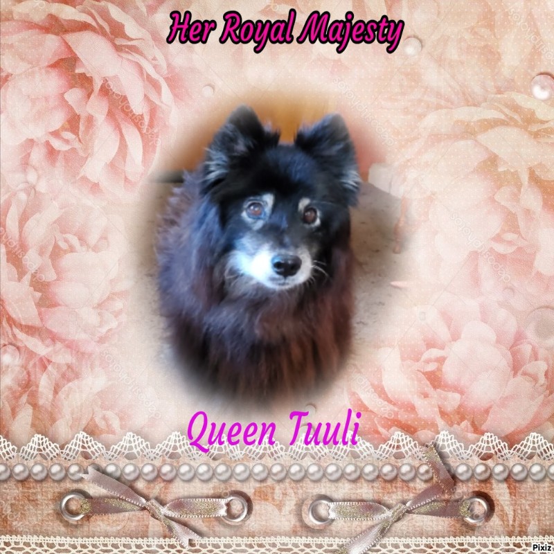 Tuuli of the Trish family