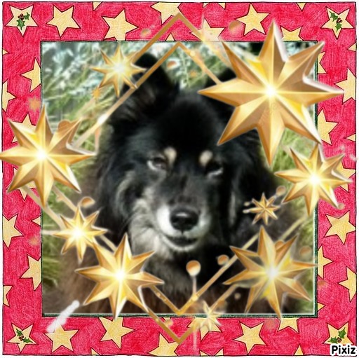 Tuuli of the Trish family