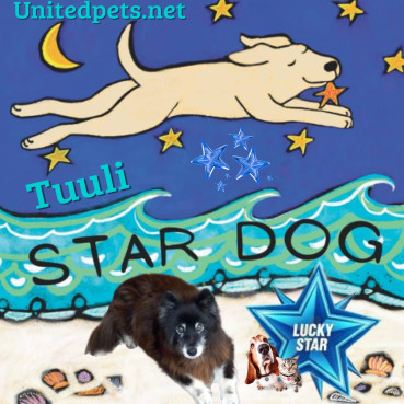 Tuuli of the Trish family