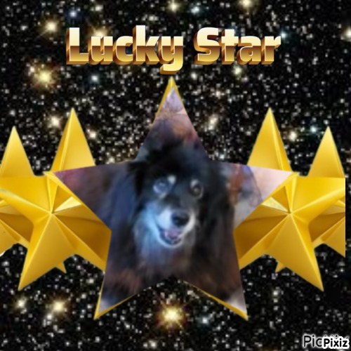 Tuuli of the Trish family