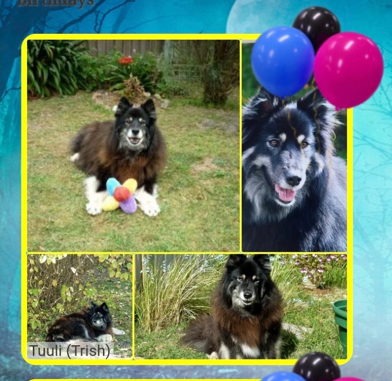 Tuuli of the Trish family