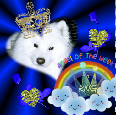 Nensky of the Trish family