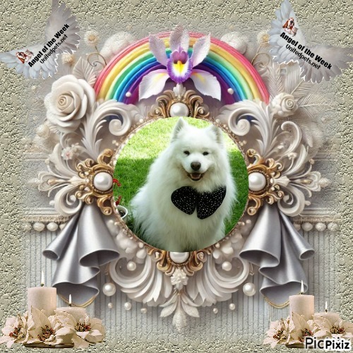 Trish uploaded   192  day/s  ago