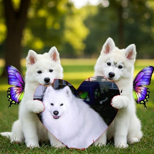 Nensky of the Trish family