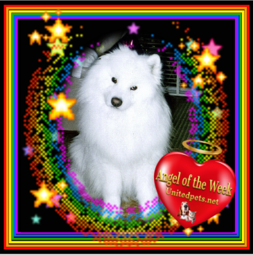 Nensky of the Trish family