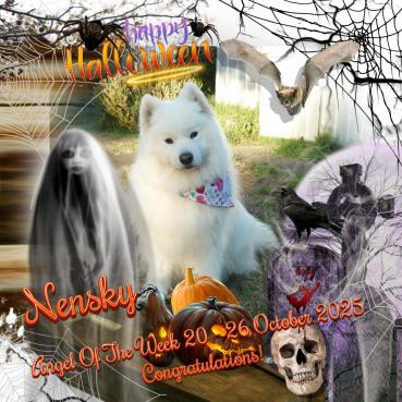 Nensky of the Trish family