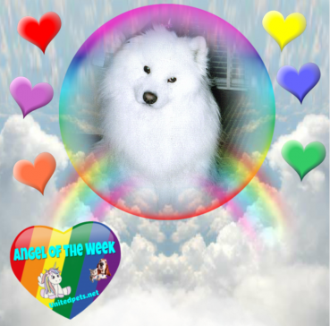 Nensky of the Trish family