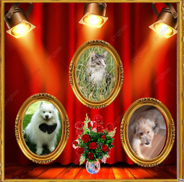 Nensky of the Trish family