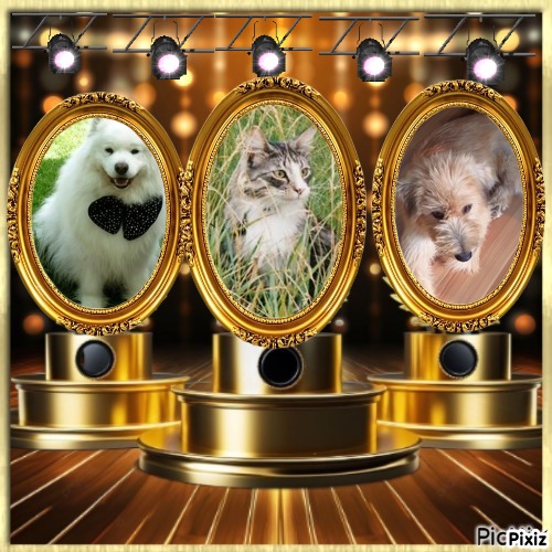 Nensky of the Trish family